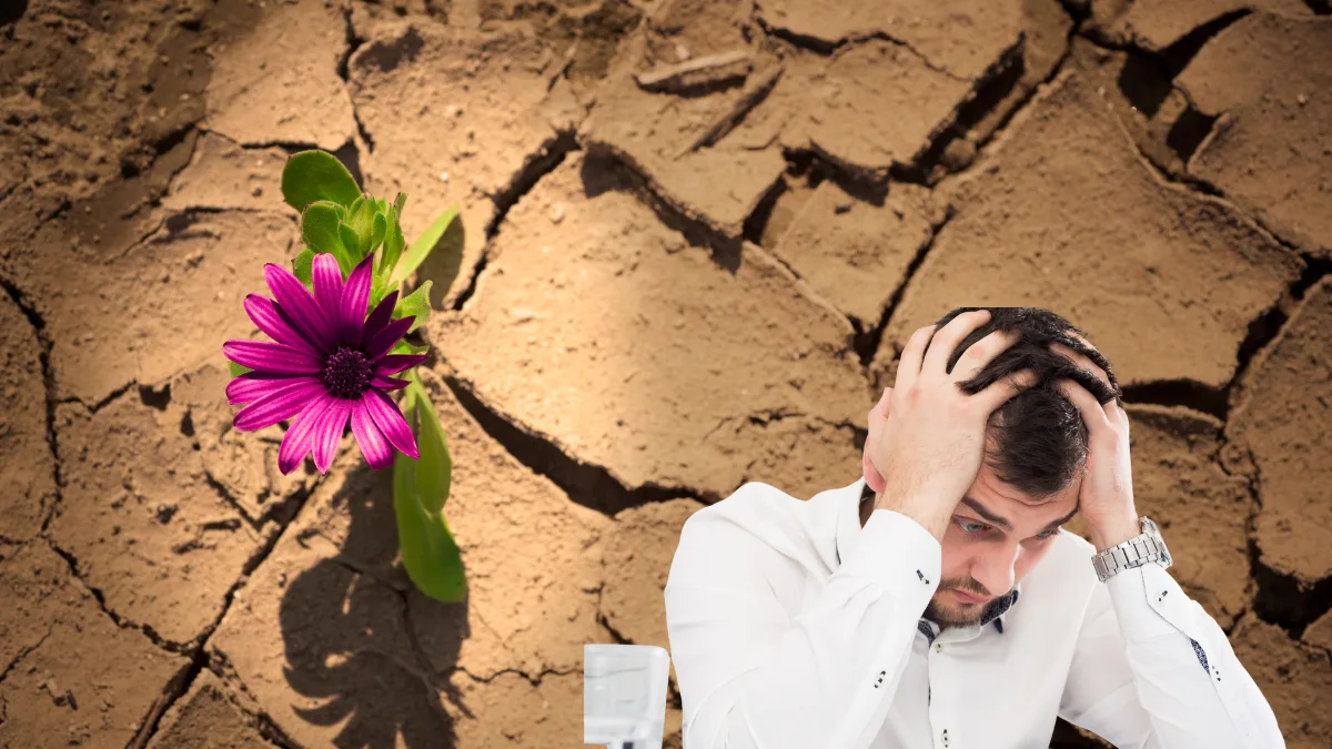 मेहनत-और-किस्मत