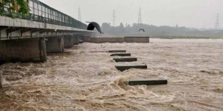 यमुना-उफान-पर!