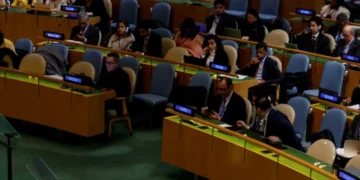 UN-में-भारत