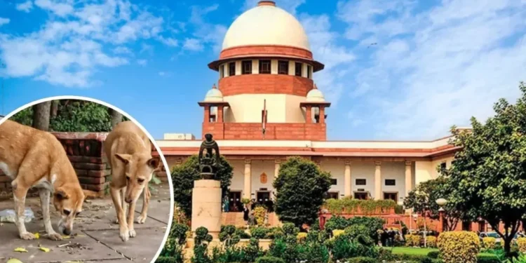 सुप्रीम कोर्ट -Bharati Fast News