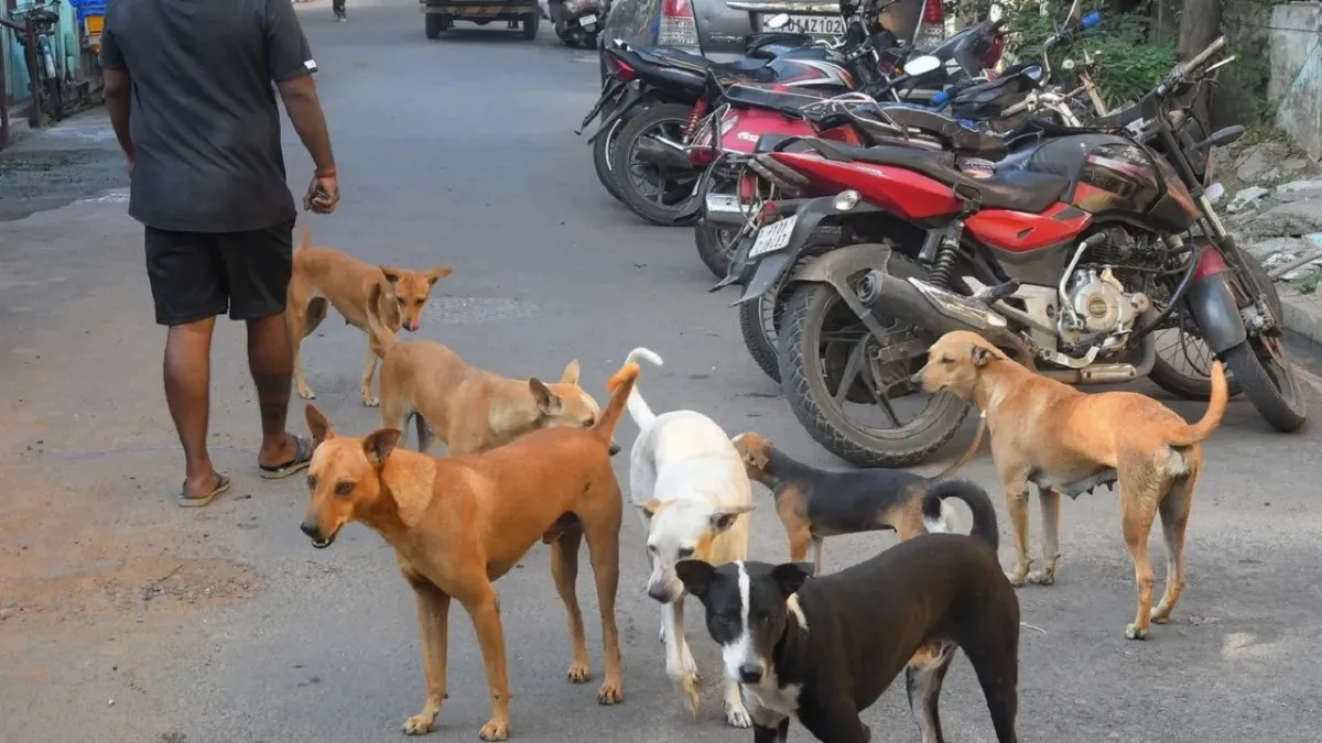 सुप्रीम कोर्ट 2 -Bharati Fast News