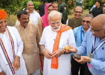 दिवाली-गिफ्ट