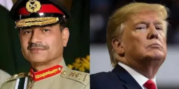 अरेबियन-सी