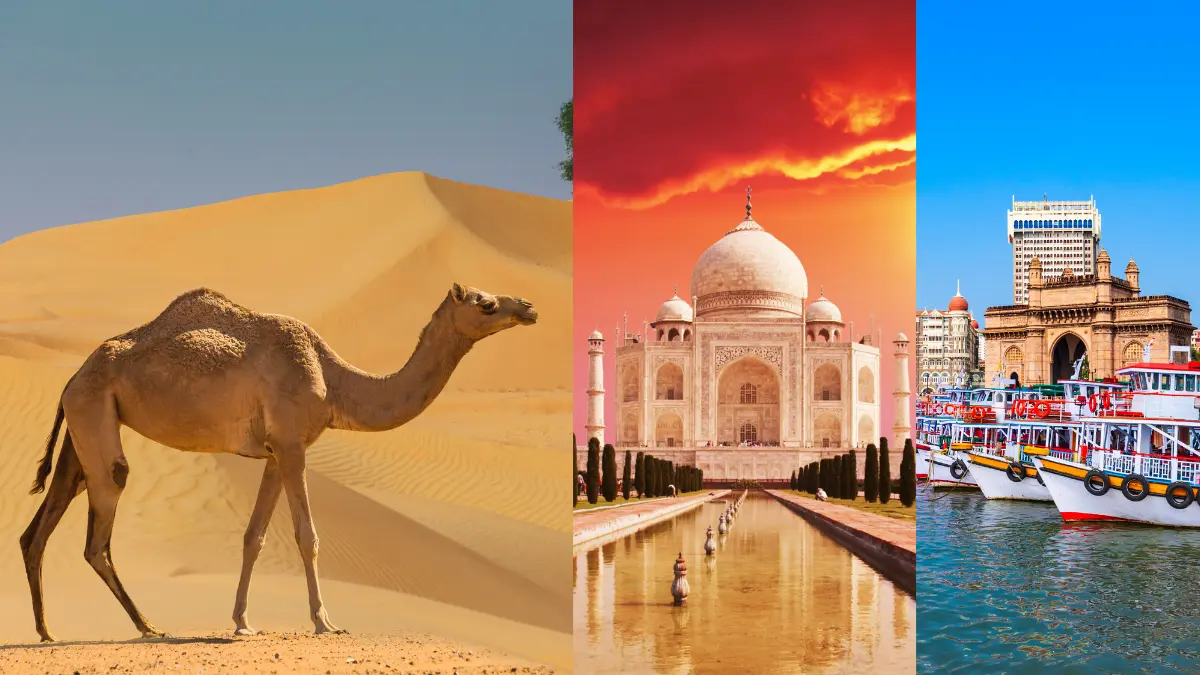 भविष्य के विकास और स्थायी पर्यटन-Bharati Fast News