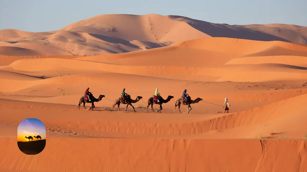 पश्चिमी भारत: रेतीले टीलों और उत्सवों का जादू-Bharati Fast News