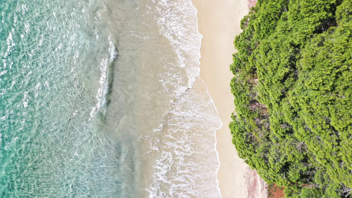 दक्षिणी भारत: शांत समुद्र तट और हरियाली की गोद-Bharati Fast News