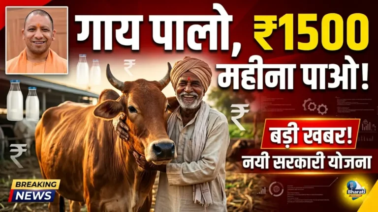 बेसहारा गोवंश योजना में बड़ा मौका, जानिए कैसे मिलेगा लाभ