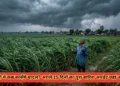 यूपी में बारिश कब होगी