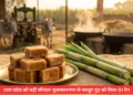 मुजफ्फरनगर गुड़ GI Tag