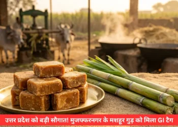 मुजफ्फरनगर गुड़ GI Tag