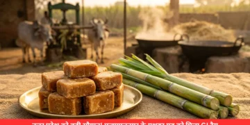 मुजफ्फरनगर गुड़ GI Tag