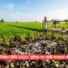 राष्ट्रीय यूरिया निवेश नीति 2026
