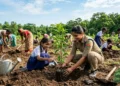 यूपी वृक्षारोपण अभियान 2026