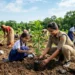 यूपी वृक्षारोपण अभियान 2026