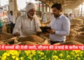 सरसों के भाव 2026