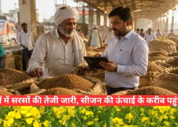 सरसों के भाव 2026