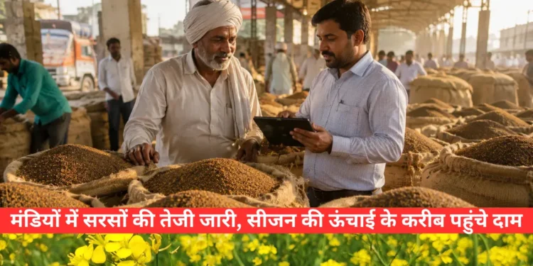 सरसों के भाव 2026