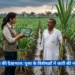 गन्ने की फसल की देखभाल