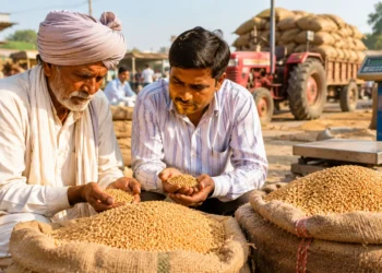 गेहूं का भाव आज