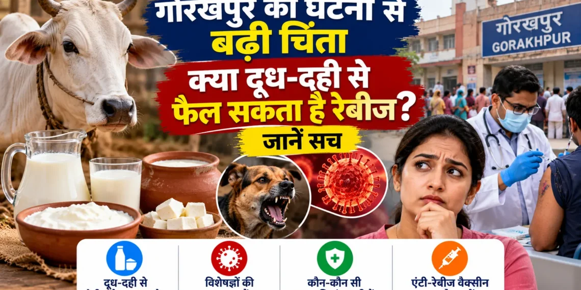 दूध दही से रेबीज फैलने का खतरा