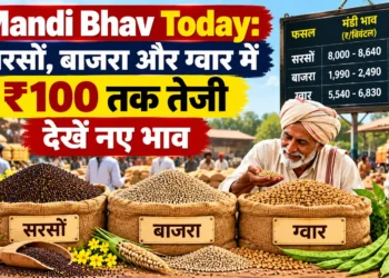 सरसों बाजरा ग्वार मंडी भाव 2026