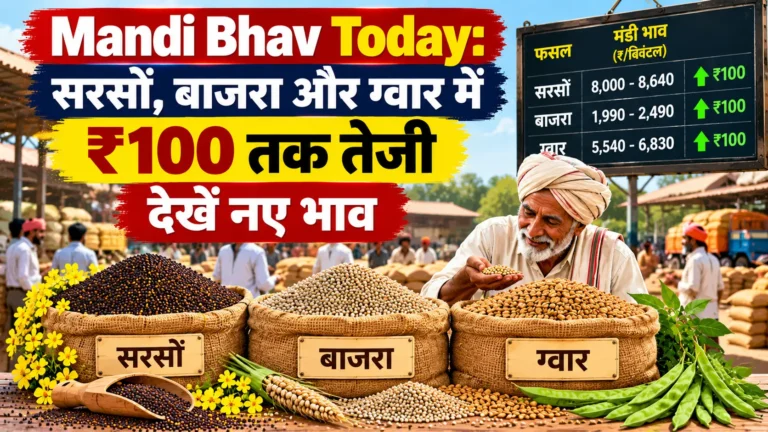 Mandi Bhav Today: सरसों, बाजरा और ग्वार में ₹100 तक तेजी, देखें नए भाव