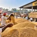 धान मंडी स्टॉक अपडेट